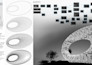 create custom dynamo scripts for bim automation in revit